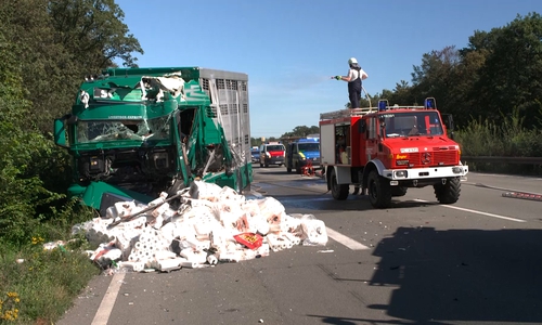 Der Schweinetransporter wurde bei dem Unfall stark beschädigt. Einige der Tiere wurden schwer verletzt.