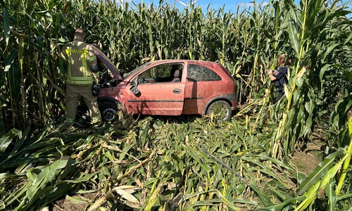 Das Auto war offensichtlich von der Straße abgekommen.