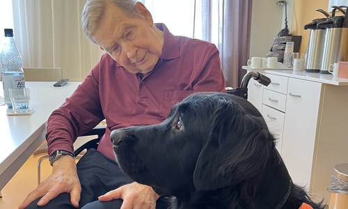 Winston auf der Geriatrie im Helios Klinikum Gifhorn im Einsatz.