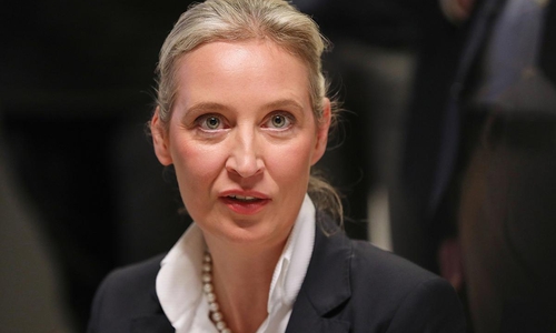 Alice Weidel (Archiv)