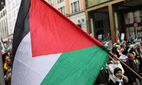 Pro-palästinensische Demo (Archiv)