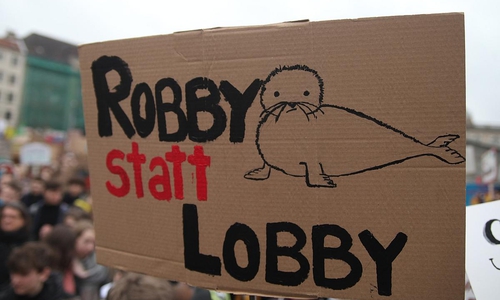 Fridays-for-Future-Protest (Archiv)