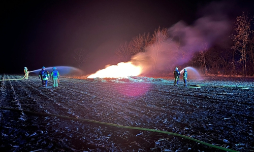 Die Feuerwehr bekämpft den Flächenbrand.