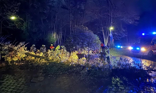 Am Alloheim in Grasleben wurde die Rettungszufahrt durch einen Baum versperrt. 