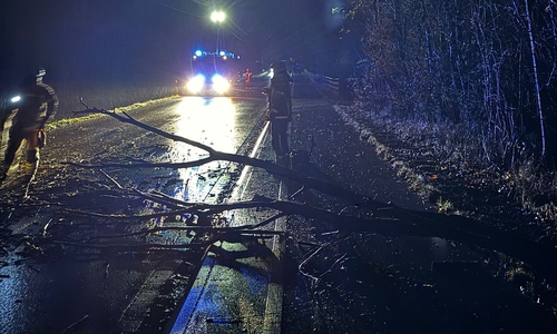 Auf der K35 war ein Baum auf die Fahrbahn gestürzt. 