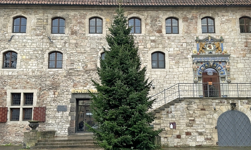 Der Weihnachtsbaum präsentiert auf dem Altstadtmarkt sein grünes Nadelkleid und sorgt für Vorfreude auf die Weihnachtszeit.