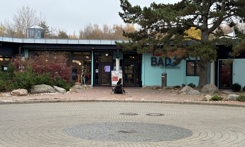 Bad Gliesmarode