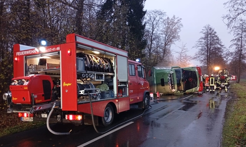 Sieben Kühe sind bei einem Unfall auf der K90 gestorben. 