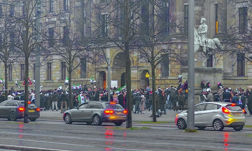 Hunderte Syrer feierten vor dem Schloss in Braunschweig.