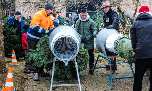 Der Weihnachtsbaumverkauf in Wendessen hat Tradition.