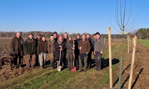 Die Teilnehmer der Pflanzaktion.