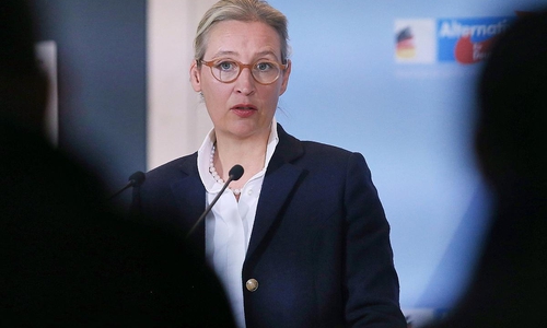 Alice Weidel (Archiv)