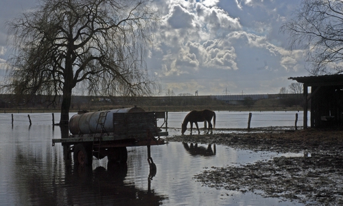 Hochwasser ist selten so idyllisch wie diese überfluteten Wiesen an Schunter in Braunschweig.