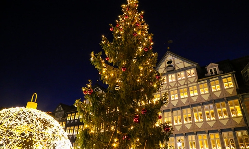 Die diesjährige Friedenstanne vor dem Rathaus.