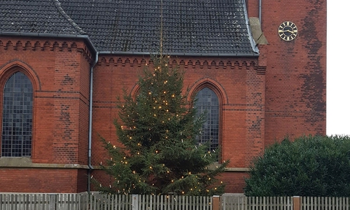 Der Baum steht nun direkt neben der Kirche in Sophiental.