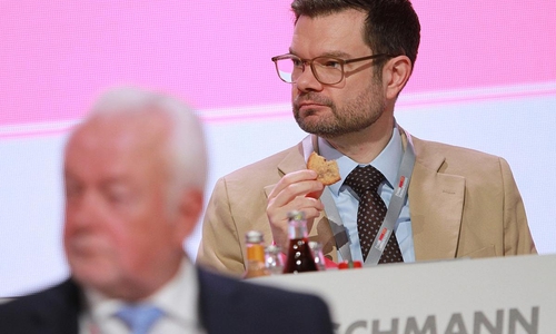 Wolfgang Kubicki und Marco Buschmann (Archiv)