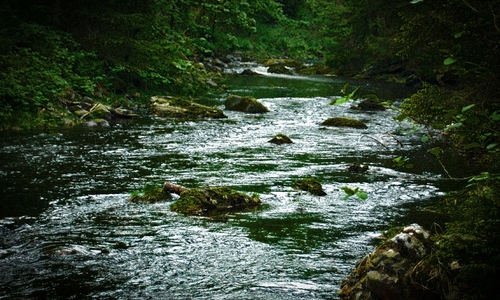 Die Oker entspringt dem Harz und läuft dann quer durchs Harzer Vorland. Bei Müden mündet sie in der Aller.