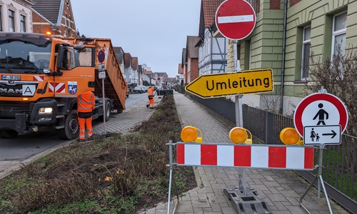 An der Campestraße wurden zahlreiche Bäume gerodet. 