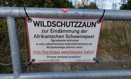 Wildschutzzaun (Archiv)