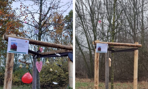 Die Bäume wurden im November liebevoll geschmückt (links) und kürzlich systematisch wieder abgeschmückt (rechts). 