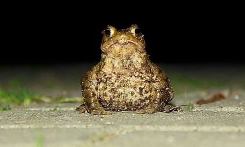 Symbolfoto.