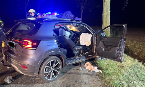 Der Mann musste schonend aus dem Fahrzeug befreit werden.