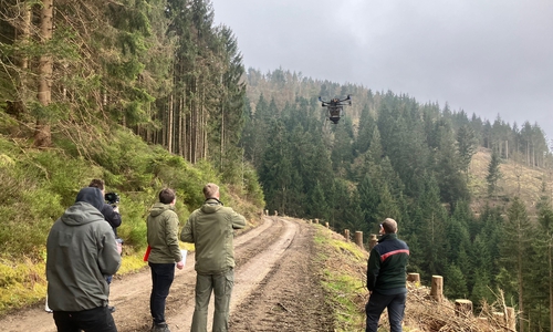 Testflug einer Saatgut tragenden Drohne über den Goslarer Stadtforst.