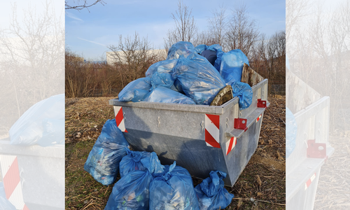 Gemeinsam wurden  240 Kilo Müll gesammelt.