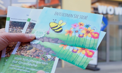Die erste Info-Veranstaltung im WOW findet zum Thema "Blühende Lebensräume - Alternative zu grauen „Schottergärten“ statt. 