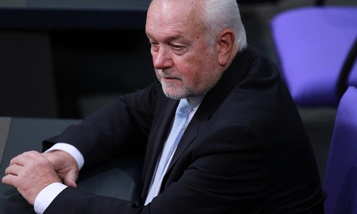 Wolfgang Kubicki (Archiv)