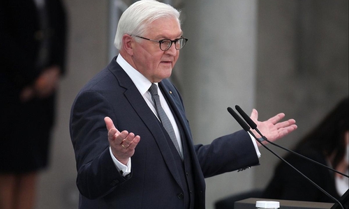 Frank-Walter Steinmeier (Archiv)