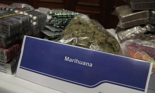 Marihuana (Archiv)