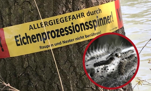 Symbolfoto.