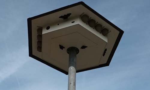 Der neue Artenschutzturm in Othfresen.