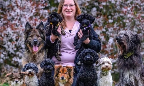 Tierschützerin Maren braucht dringend Unterstützung.  