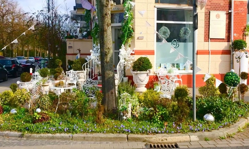 Vor ihrer Praxis in der Celler Straße gestaltete Olga Beckmann die Bauminsel um.