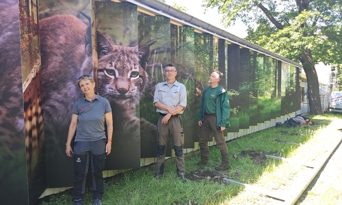 Dr. Bettina König, Steffen Küppers (beide Nds. Landesforsten) und Frank Steingaß (Nationalpark Harz) vor der neuen Außenwand des HarzWaldHauses an der Seite zur Bundesstraße. Je nach Blickrichtung sind unterschiedliche Motive – Luchs oder Kauz- zu sehen. 