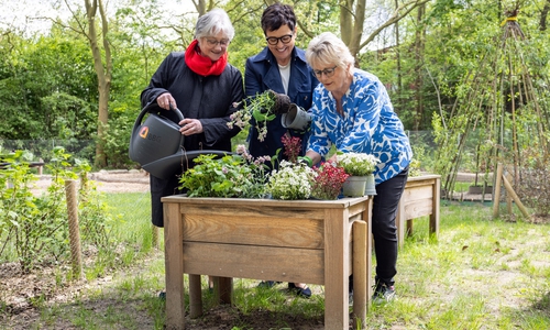 Beim diesjährigen BBG-Balkonwettbewerb freuen sich (v. l. n. r.) Ulrike Neumann (Braunschweig Stadtmarketing GmbH), Karin Stemmer (Braunschweiger Baugenossenschaft eG) und Bürgermeisterin Annegret Ihbe (Stadt Braunschweig) auf viele kreative Einsendungen.