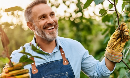 Symbolbild. (erstellt mit Adobe Firefly)