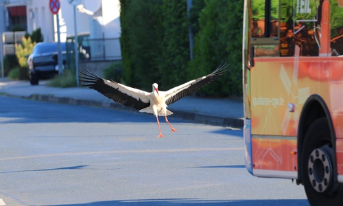 Das ging gerade nochmal gut...