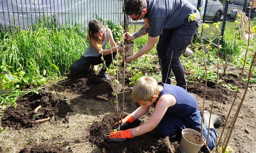 Es wurde fleißig gepflanzt.