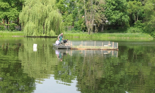 Die Insel wurde durch den Angelsportverein Wolfenbüttel installiert. 