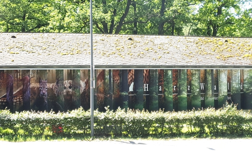 Von der Straßenseite macht eine Prismawand mit je nach Fahrtrichtung wechselndem Bildmotiv – Luchs und Kauz – auf das Thema der Ausstellung, den Harzwald, aufmerksam. 