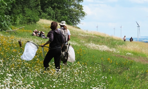 Auch am Südrand der Asse wurden die Naturschützer im Rahmen der Kartierexkursion schnell fündig . 