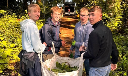 Die ersten Arbeiten auf dem Gelände des THG-Schulwalds haben bereits stattgefunden.