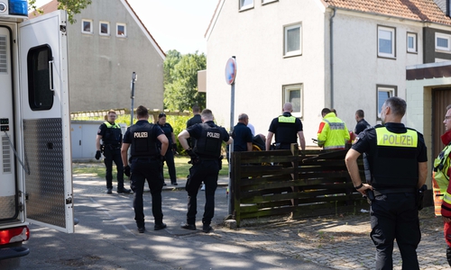 Am Mittwochvormittag kam es zu einem Polizeieinsatz im Pappeldamm. 