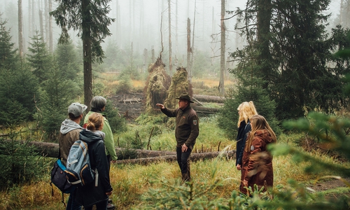 Der Nationalpark Harz beteiligt sich an der „Woche der Natur“ und lädt Besucher ein, an den Veranstaltungen teilzunehmen, zum Beispiel bei der Exkursion „Mit dem Ranger den Nationalpark Harz entdecken“.
