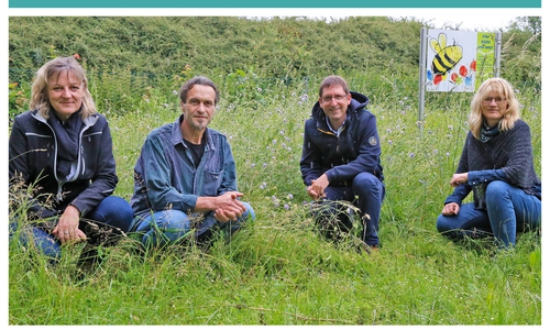 Anja Hartlich und Arne Obermayr (Abteilung Grünflächen der Stadt Wolfenbüttel), Dr. Uwe Messer (Kommunen für biologische Vielfalt) und Martina Münstermann-Kreifels (Umweltbeauftragte der Stadt Wolfenbüttel) bei einem der Blühstreifen im Waldenburger Park (v. li.).