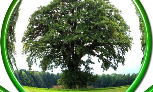 Bis 1. Oktober kann man Projekte einreichen. Symbolbild