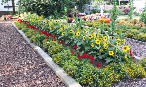 Offene Pforte Peine: Visser´s Wow-Garten.